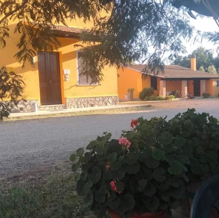 Agriturismo Da Remo Мальяно-ин-Тоскана Экстерьер фото