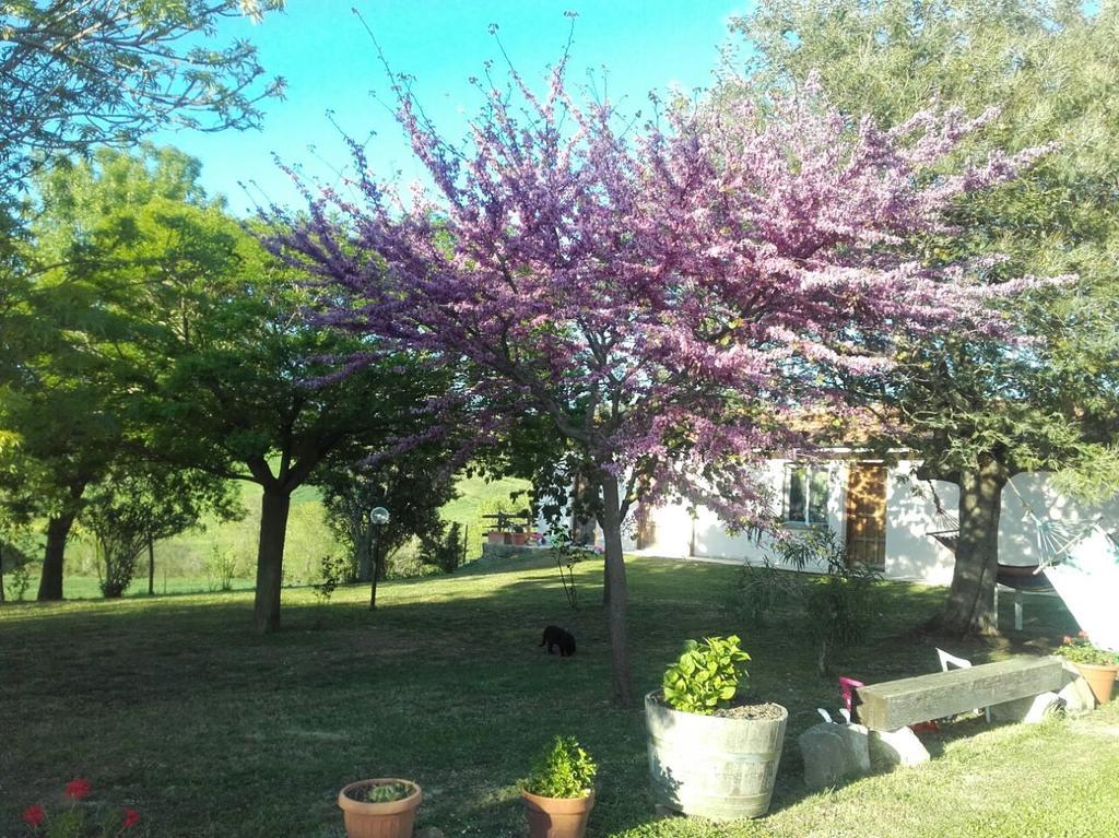 Agriturismo Da Remo Мальяно-ин-Тоскана Экстерьер фото