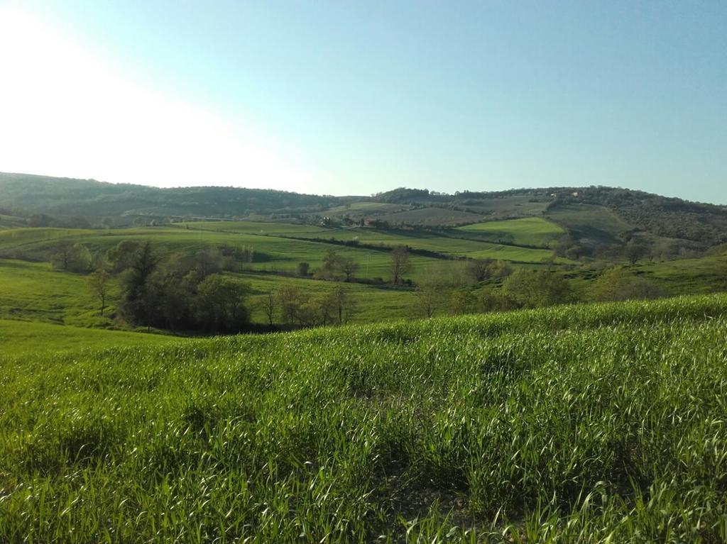 Agriturismo Da Remo Мальяно-ин-Тоскана Экстерьер фото